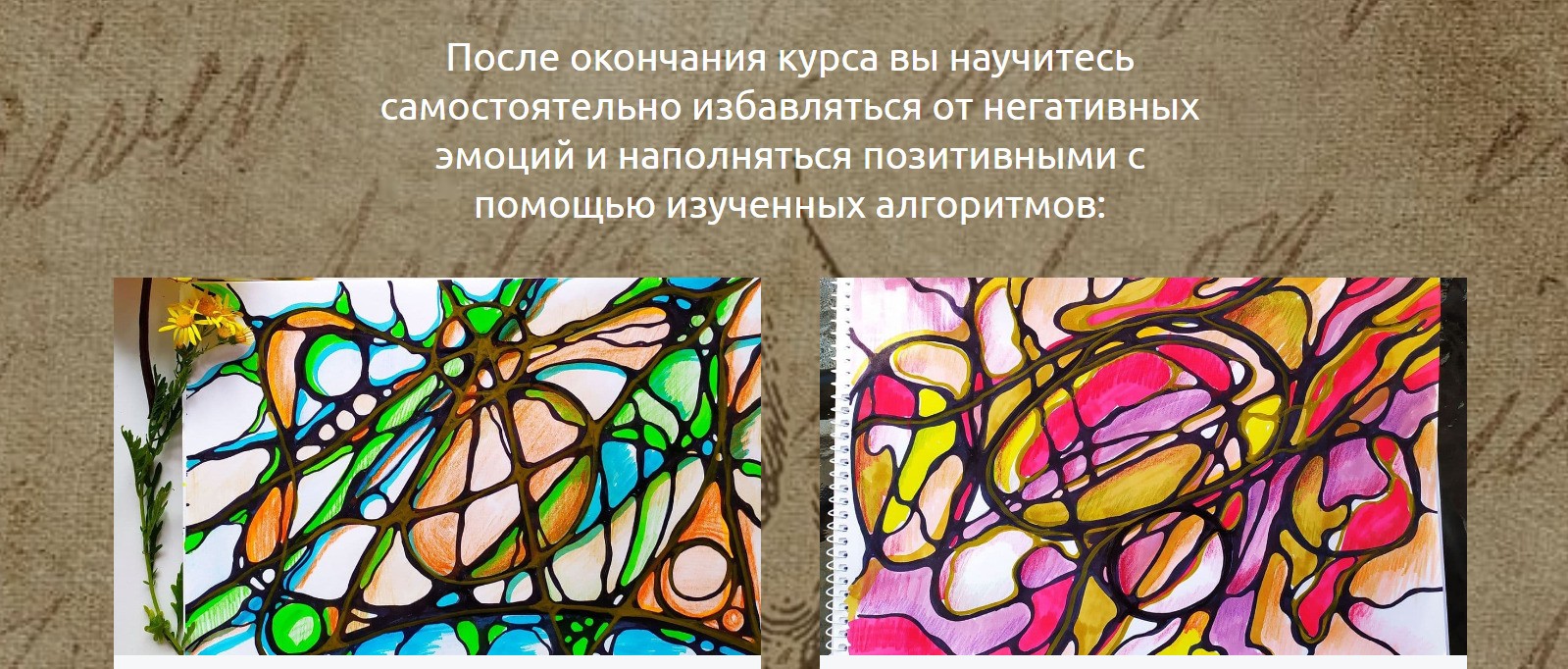 Нейрограф Наталья Спесивцева сайт